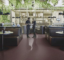 Forbo Marmoleum Decibel on Order 335335 eggplant purple фото 2 | FLOORDEALER